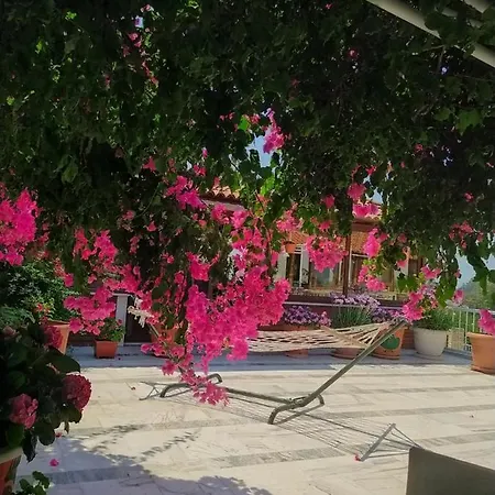 فندق Akdeniz *