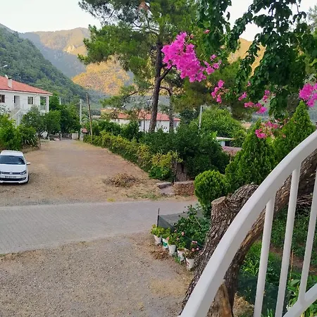 Akdeniz موجلا